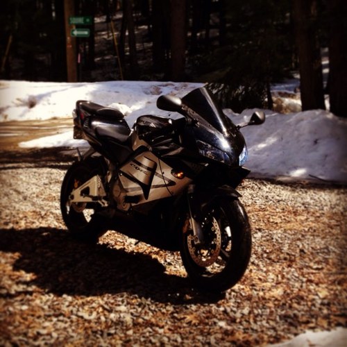 StCarm's profile picture. work hard, play harder.  #603 love my family