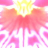 Piet de Quaasteniet (@keurmeneer) 's Twitter Profile