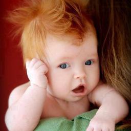 Zay_Zaini's profile picture. 