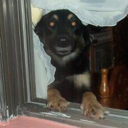 agustin8912's profile picture. 