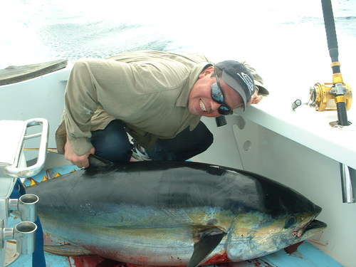 General contractor, professional fisherman, frustrated musician and all round dreamer