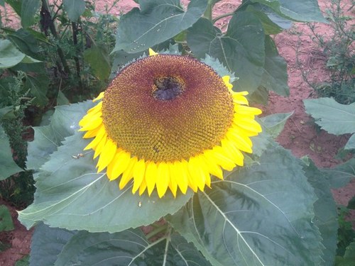 ERConroy's profile picture. 