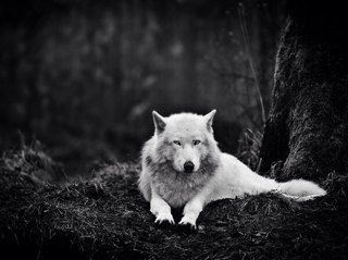SidMokhtari's profile picture. 
