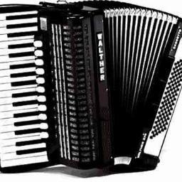 osap_sanfona's profile picture. 