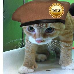 jail account for @RustytheKitty