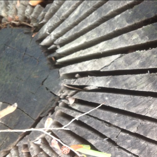 stormbuoy's profile picture. On the beach