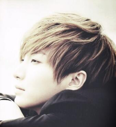 love....super junior من محبي الانمي . والمانجا