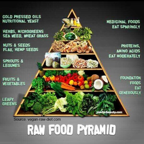 Fittie_Lyfe's profile picture. I want to reach the highest potential my body is capable of -- eat clean, work out, be healthy