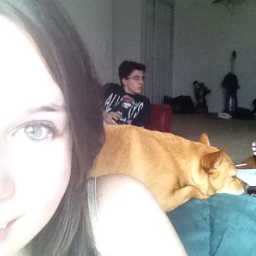 19 years old, Administrator of Beacon Shipping Logistics, and i love my boys; Dylan and Buddy :D