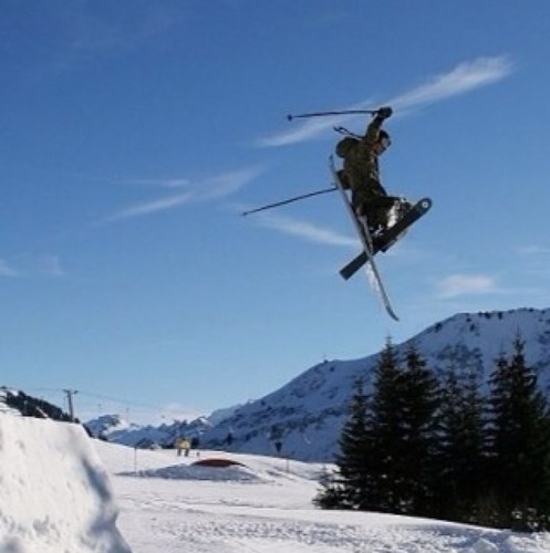 Shred Equality VP Business Development Professional Salesman Skier Dad to a diabetic cat.