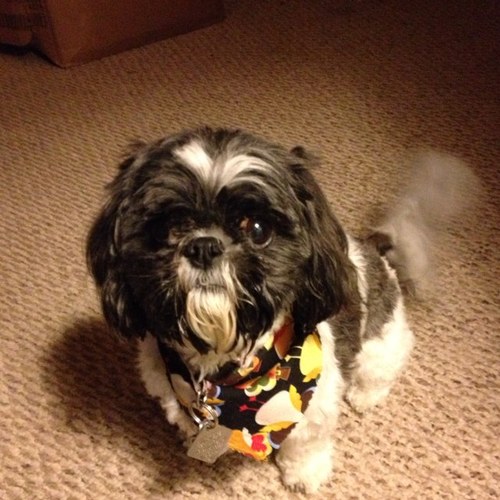 dawnmr50's profile picture. 