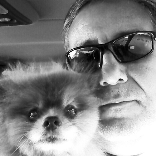 vlopi007's profile picture. Coach, Father, Lover of children and animals. The only innocents left...