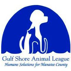 Gulf Shore Animal League is a not-for-profit organization dedicated to the welfare of stray and feral cats in Manatee County, Florida.