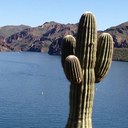 Kim Grice-McClung - @KimKimmcclung72 - Twitter