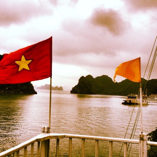 _lehoang's profile picture. 