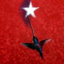 Hernando Ríos - @RiosHernando - Twitter