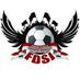 FDSI (@fdsi_tweet) Twitter profile photo