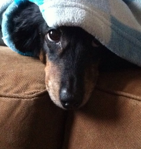 NancyMcIntosh's profile picture. 