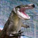 shaun wallace - @shaunwallace22 - Twitter