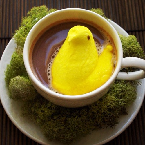 taraatkins's profile picture. 