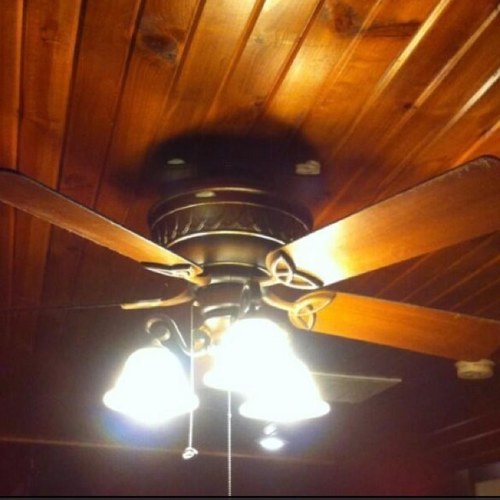 FunnyCeilingFan's profile picture. 