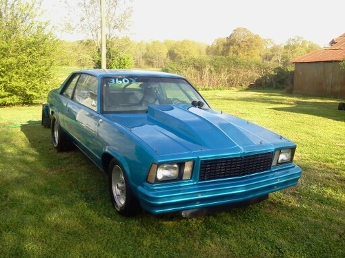 397Mitchell's profile picture. 