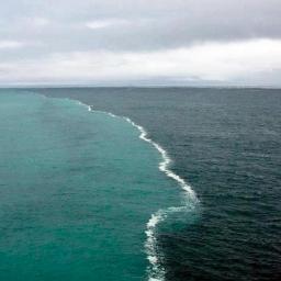 a_mannino's profile picture. 