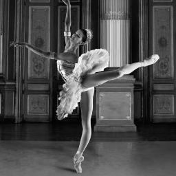 pippins1209's profile picture. 