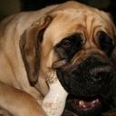 Bill Sanchez - @aptoshills - Twitter