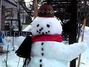 kazenoko's profile picture. 北アルプス山麓、白馬村で「風の子」という小さな宿をやっています。緑と花と雑貨に囲まれた初めてでも気軽に泊まれる宿を目指しています。1988年の開業以来365日ひとり旅大歓迎の宿です。ドミトリー(男女別相部屋)、一人部屋、ファミリー、グループも歓迎。宿泊しない方でも白馬周辺の事ならお気軽にお尋ね下さいね。