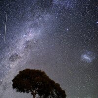 고아라 (@dodogo122) 's Twitter Profile