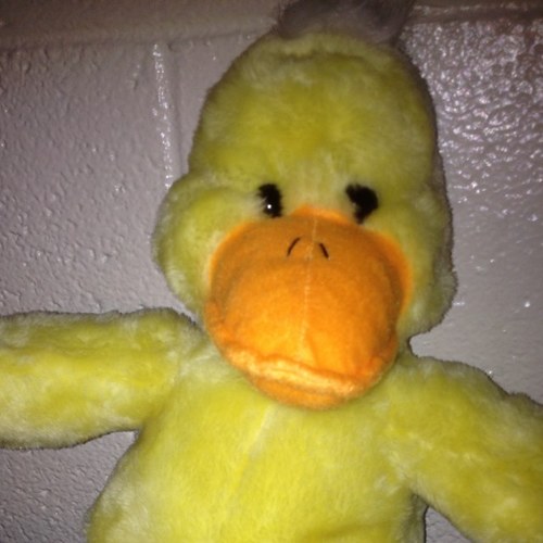 Im the baddest duck round here. Dont like it, dont fucks with it. PS: Your mom loves my flippers