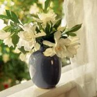 Saikhanjargal (@shjargalsaikhan) 's Twitter Profile Photo
