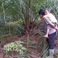 okto dwi hanggara (@bhatarakresna) 's Twitter Profile