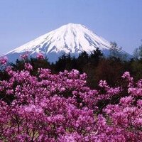 富士河口湖町観光情報【公式】 (@fk_kankou) Twitter profile photo