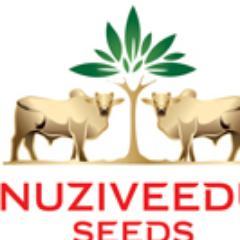 Nuziveedu Seeds is the largest hybrid seed company in India and also a market leader in hybrid cotton seed and research paddy seed.