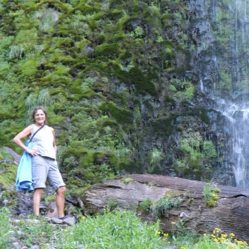 jaceemw's profile picture. Give me blue sky with dragonflies darting. Warm yellow of the Oregon summer sun, pine covered mountains and deep cold waters to dive in and I will b in heaven