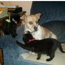 Sandra Penner - @kittycat1941 - Twitter