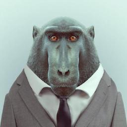 manowaruben's profile picture. Soy un señor con barba y pendientes. Odio los paraguas. He sido Mister Zupias en el 2013 y 2014. Vivo a tope.
Macaco negro crestado.