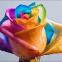 Kelley Pitts - @dkelley1510 - Twitter