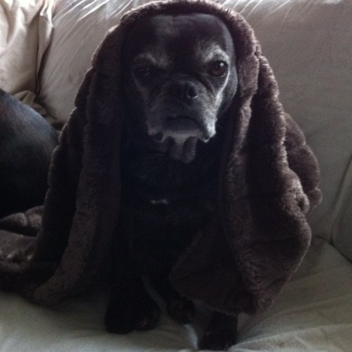 Onesie1's profile picture. 