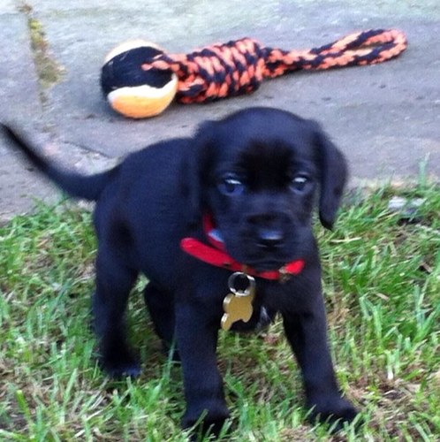 WYWalkies's profile picture. 