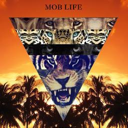 Party Mob Productions is a production movement dedicated to bringing Kamloops BC original and fresh events. More importantly, we love to party