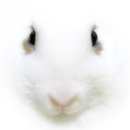 machitabi10000's profile picture. 『ヘンタイ建築エロ日記』管理人、ちりぃです。建築家とデザイナーの金銭的な苦労を無くすために、日々稼ぐ仕組みを作ってます。