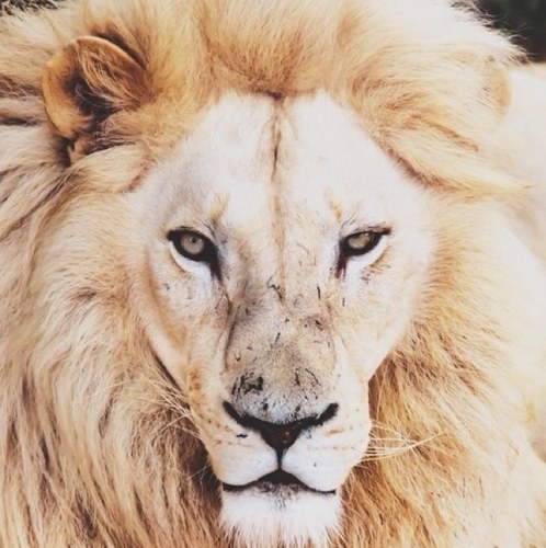 EPhalatse's profile picture. I live, i love, i learn, i persue, i pray and i'm fearless