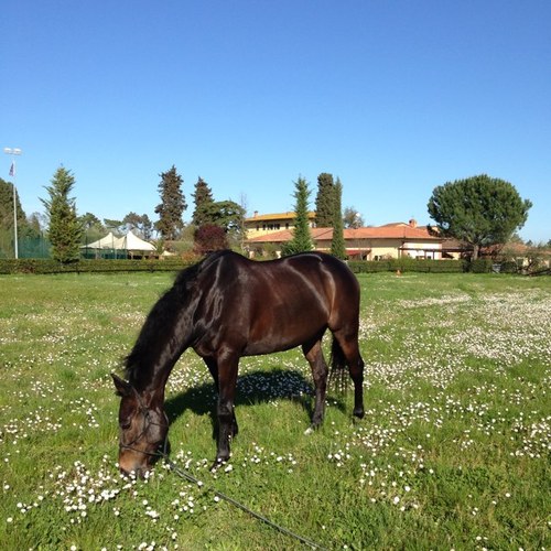 aleelore's profile picture. 🎶 Se fosse così facile tradurre i miei pensieri
      E farli stare in piedi. 🎶

E. Meta