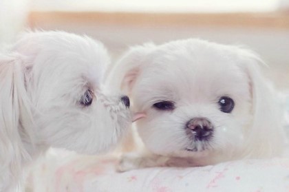 jlgusy's profile picture. 동물사랑~♥생명의가치를현실적기준으로판단하지마세요..