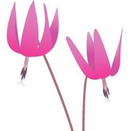 中高年の生活と健康を考える雑誌『明日の友（あすのとも）』。婦人之友社刊・偶数月５日発売。2023年の4月に創刊50年を迎えました。
