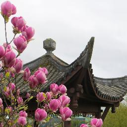 The official twitter site for Seattle Chinese Garden. With our sister city, Chongqing, and multiple partners we are creating a Sichuan style garden in Seattle.