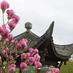 SeattleChineseGarden (@seachinesegrdn) Twitter profile photo